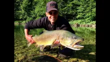 Video thumb for Huge Marble Trout