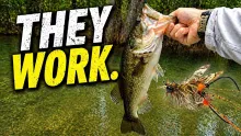 Video thumb for Two Bass, One Fly … These Crayfish Patterns Work