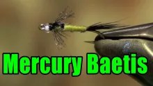 Video thumb for Mercury Baetis