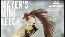 Video thumb for Mayer's Mini Leech