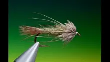 Video thumb for Gartside Sparrow