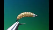 Video thumb for Gummi Grub Maggot