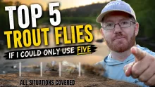 Video thumb for Top 5 Trout Flies