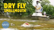 Video thumb for Dry fly smallmouth
