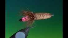 Video thumb for Cased Caddis Larva