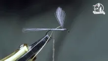 Video thumb for Atherton N.1