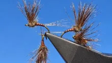 Video thumb for March Brown Emerger