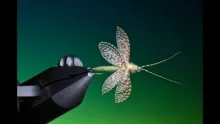 Video thumb for Wally Wing Fluttering Caddis
