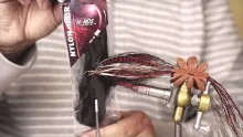 Video thumb for Copper Tail