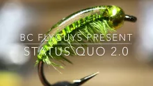 Video thumb for Status Quo 2.0