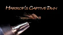 Video thumb for Harrop's Captive Dun