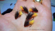 Video thumb for Sunburst Kate Hedge Hog