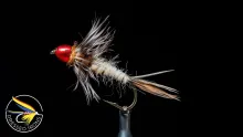 Video thumb for Remnant Fly #47