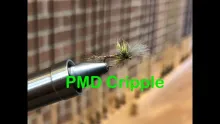 Video thumb for PMD Cripple