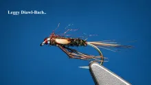 Video thumb for Leggy Diawl Bach