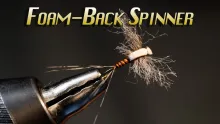 Video thumb for Foam-Back Spinner