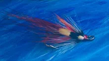 Video thumb for Black & Orange Shrimp
