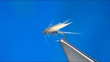 Video thumb for Soft Hackle/Wet Fly Pattern from the 1780s