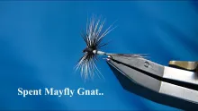 Video thumb for Deadly Irish Mayfly Gnat