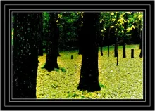 User submitted picture: Autum...Patagonia, Argent...