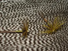 User submitted picture: Danica