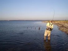 User submitted picture: The moment of truth...
R...