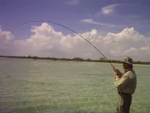 User submitted picture: 9ft weight/f 7 flyrod..fi...