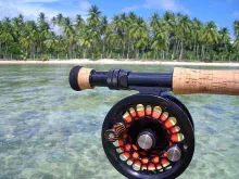 User submitted picture: "Winter" dreams......!...