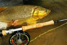 User submitted picture: Eldorado!
