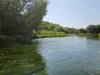 Chalkstream