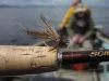 Daddy Longlegs in an Irish lake