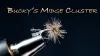 Video thumb for Bucky's Midge Cluster