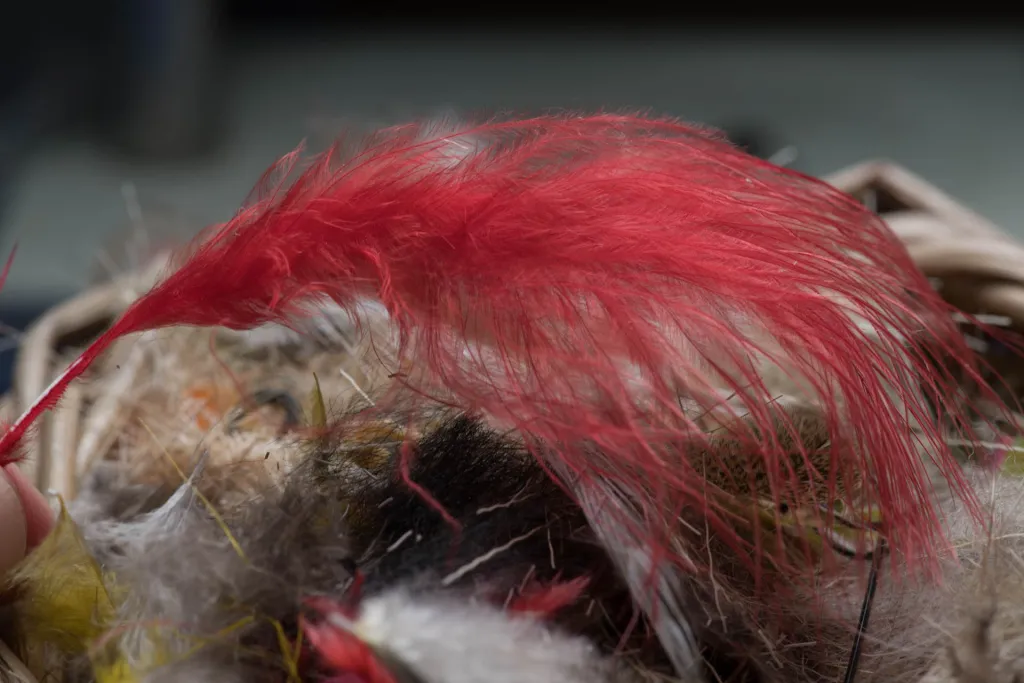 Trashed red marabou