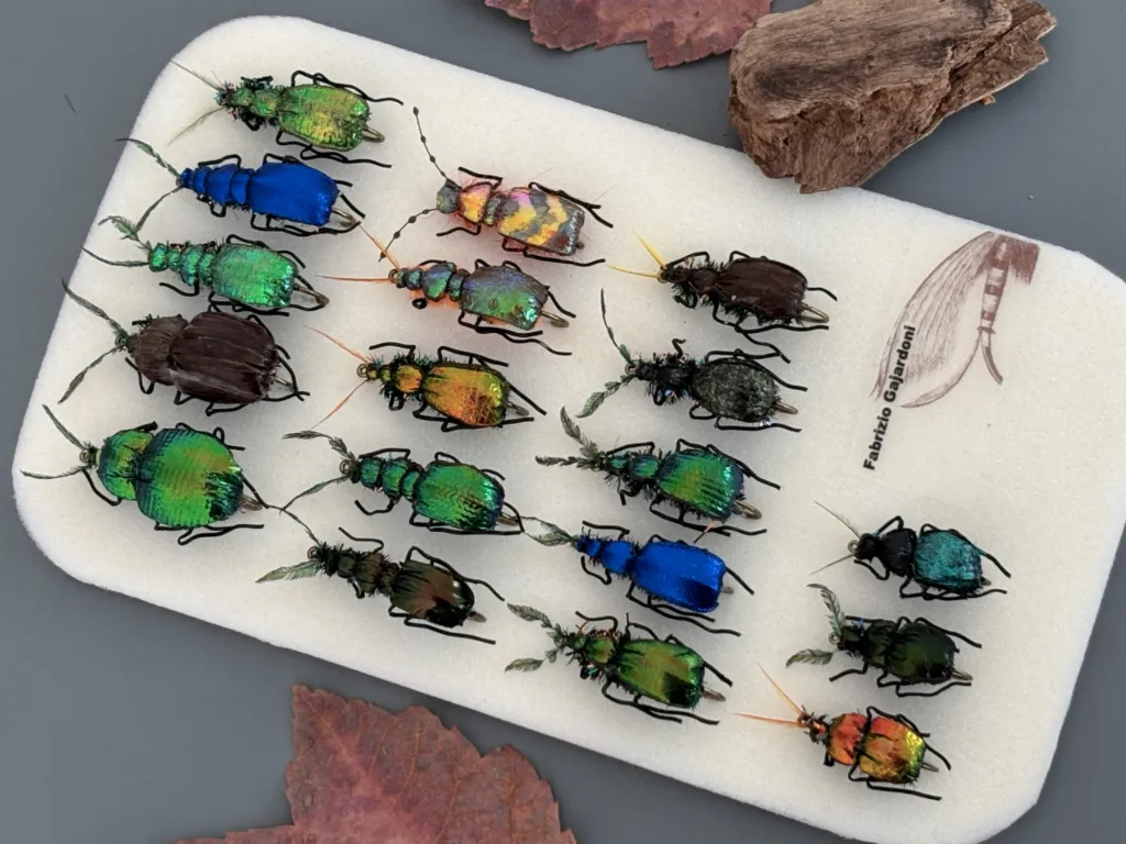 Foam beetle flies