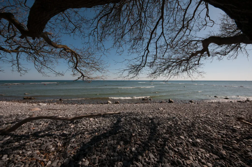 Overhanging branches