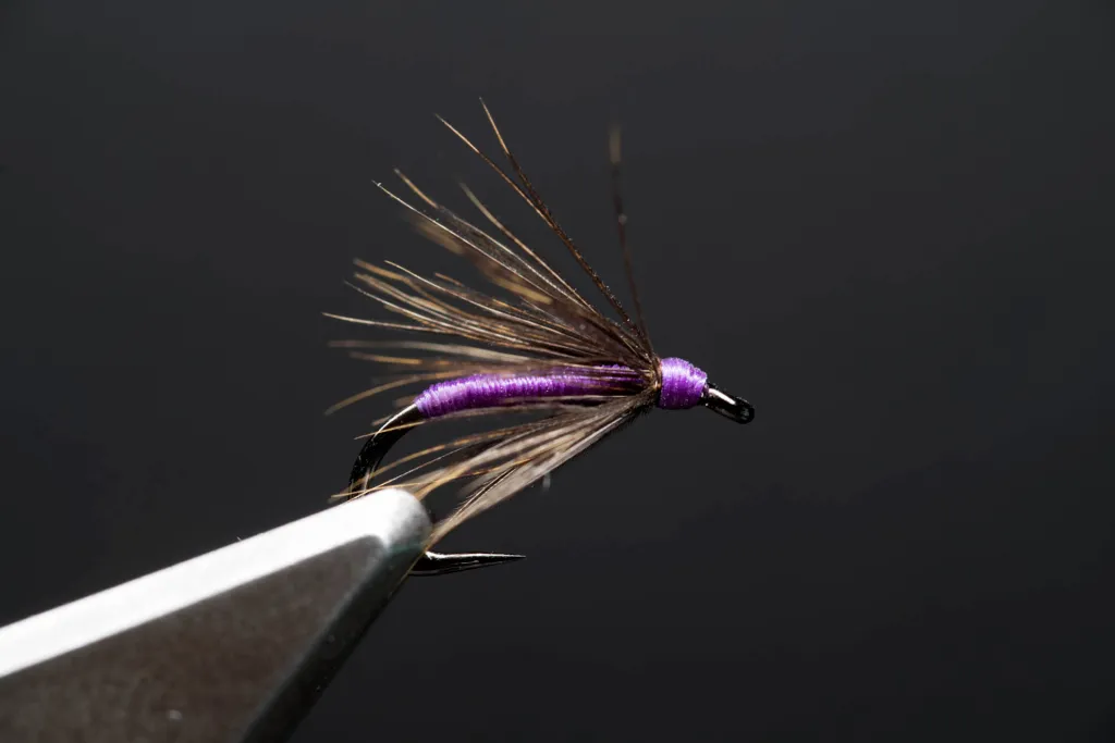 Purple and Snipe fishing fly