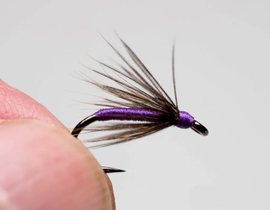 Purple and Snipe fishing fly