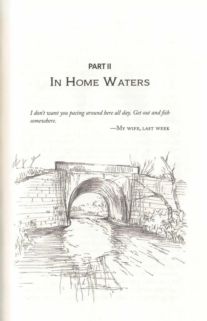 Cover page with a drawing