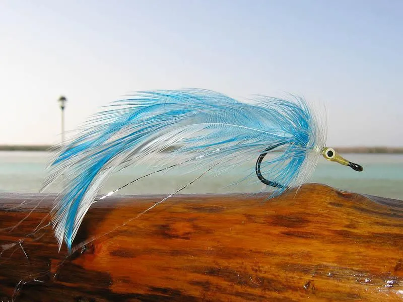 La Muerte - This fly was shot on a whim while we were drinking rum on the porch in Mexico after fishing a day. It formed the base for <a href=\"/patterns/la_muerte_tarpon_fly/\">an article on the fly</a>