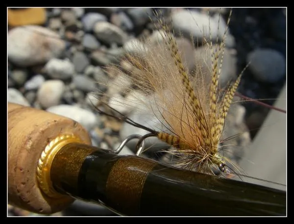 User submitted picture: Mouche de Mai #1
(May fl...