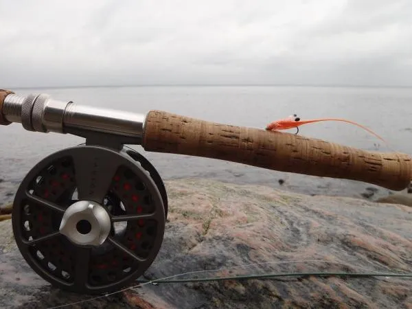 User submitted picture: The Fly