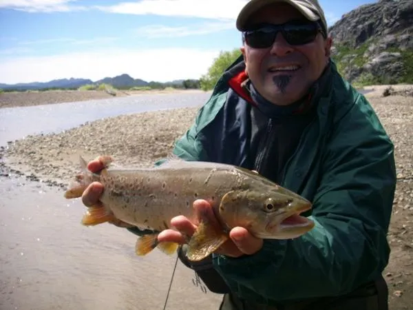 User submitted picture: Brown trout fo Rio Pico, ...