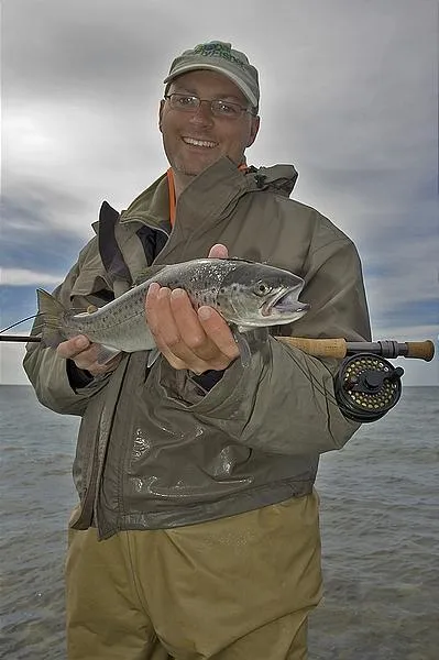 User submitted picture: Big smile..
GFF Martin w...