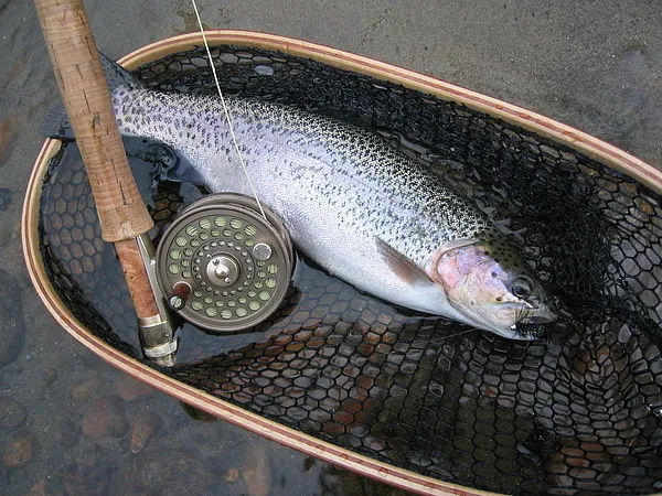 User submitted picture: Farmington River Rainbow ...