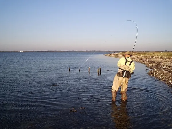 User submitted picture: The moment of truth...
R...