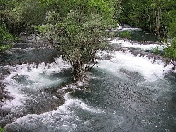 User submitted picture: One More Una