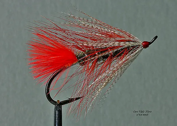 User submitted picture: "Den VÃ¥de HÃ¸ne"
Old Da...