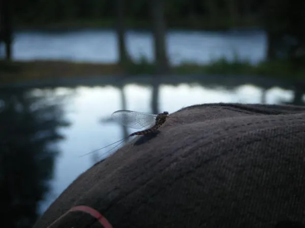 User submitted picture: Difficult to tie