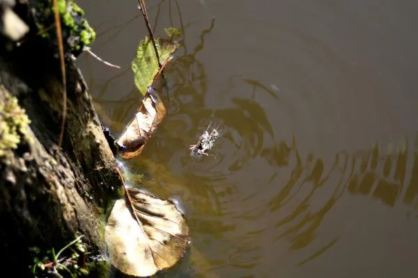 User submitted picture: Dangerous SEX