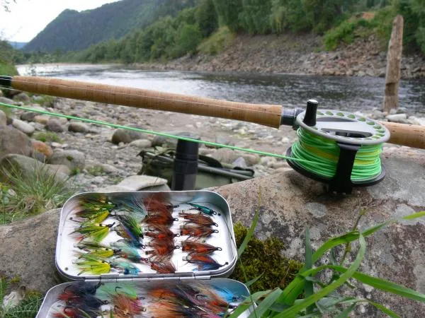 User submitted picture: Ready for Silver
